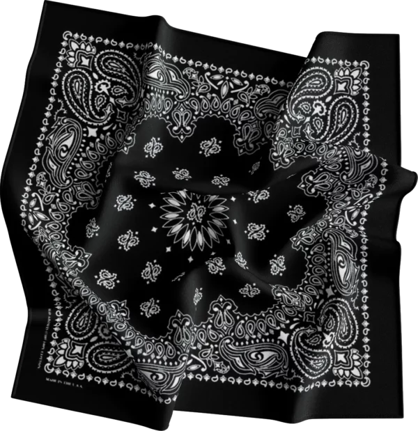 CM Western Paisley Bandana, Imported, 22x22, 12 pieces, Black