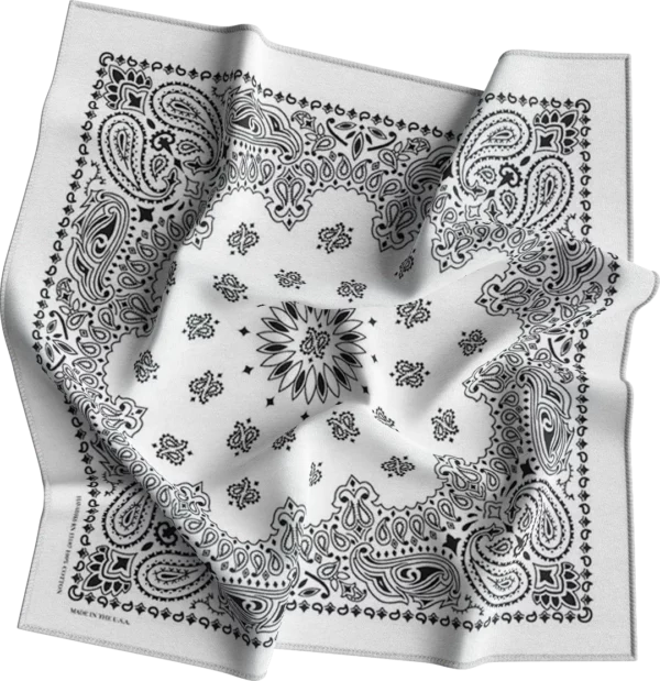 CM Western Paisley Bandana, Imported, 22x22, 12 pieces, White