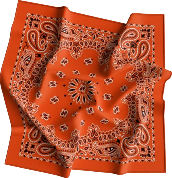 CM Western Paisley Bandana, Imported, 22x22, 1 piece, Orange