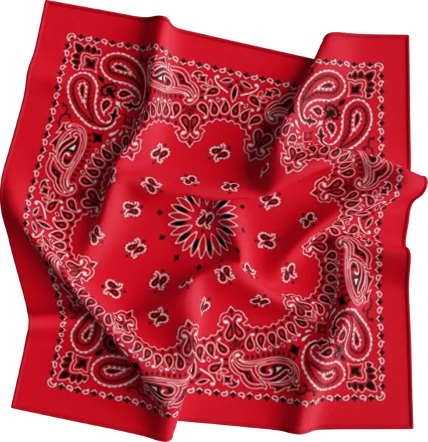 CM Western Paisley Bandana, Imported, 22x22, 1 piece, Red