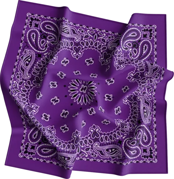 CM Western Paisley Bandana, Imported, 22x22, 1 piece, Purple / Grape