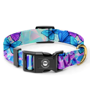 A colorful dog collar features a butterfly pattern in shades of blue and purple with a plastic buckle and a metal ring for attaching a leash displayed on a plain background