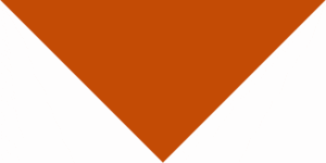 Burnt Orange (Rust) Pet Triangle Solid Bandana - Imported - 100% Cotton - 18" X 25" X 18" - 12 Pieces