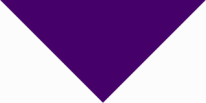 Purple Pet Triangle Solid Bandana - Imported - 100% Cotton - 18" X 25" X 18" - 12 Pieces