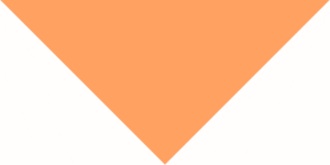 Peach Pet Triangle Solid Bandana - Imported - 100% Cotton - 18" X 25" X 18" - 600Pcs/Case