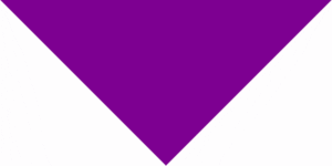 Grape Pet Triangle Solid Bandana - Imported - 100% Cotton - 18" X 25" X 18" - 1 Piece