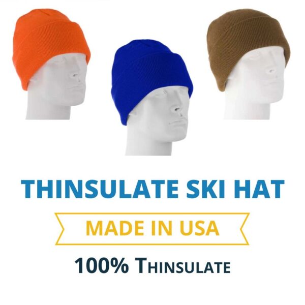 Thinsulate Ski Hat - 40 gram - Made in USA