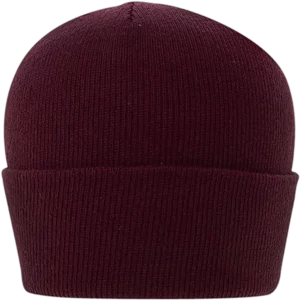 Burgundy / Wine Classic Ski Hat - 1 piece