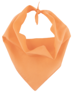 Pet Triangle Solid Bandana 1 piece BurlyWood 22 x 22