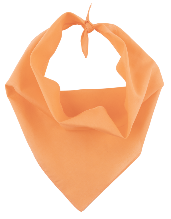 Pet Triangle Solid Bandana 1 piece BurlyWood 22 x 22