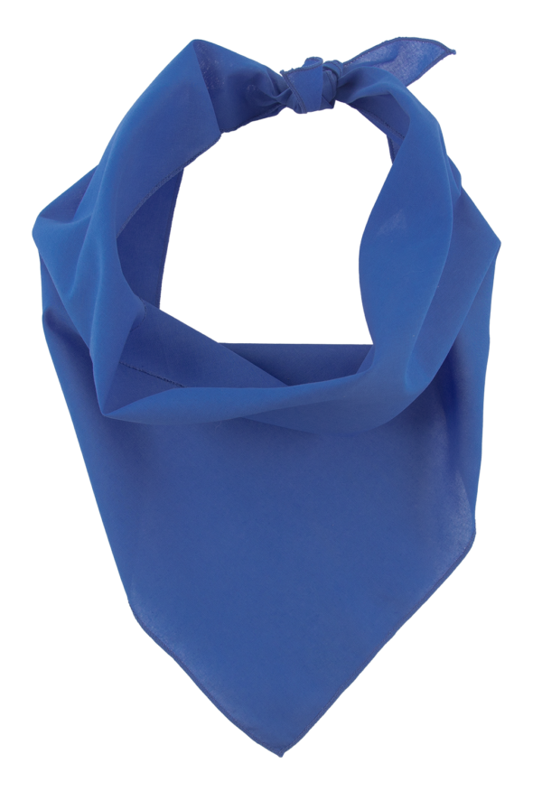 Pet Triangle Solid Bandana 1 piece Blue 22 x 22