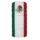 Mexico Flag