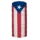 Puerto Rico Flag