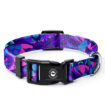 The Royal Blueberry Dog Collar For Small to Large Sized Dogs - Small