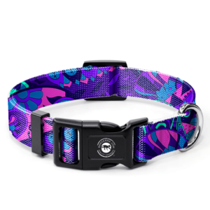 The Royal Blueberry Dog Collar For Small to Large Sized Dogs - Medium
