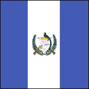 Guatemala Flag - 22x22 Inch - 22" x 22", 1 piece