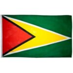 Guyana Flag - 3ft x 5ft Polyester - Imported - 12 pieces