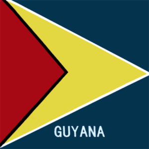 Guyana Flag Bandana - 22x22 Inch - 1 piece