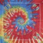 Tie Dye Swirl Paisley - 22x22 Inch - 12 pieces