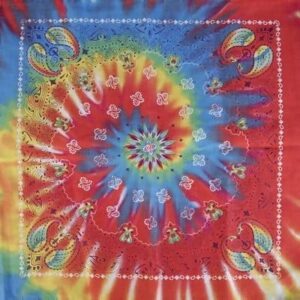 Tie Dye Swirl Paisley - 22x22 Inch - 12 pieces