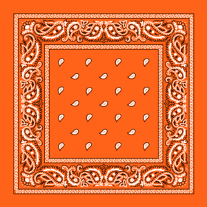 Classic Paisley Bandana Imported, 14X14, 1 Piece, Orange