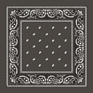 Classic Paisley Bandana Imported, 14X14, 12 Pieces, Dark Grey