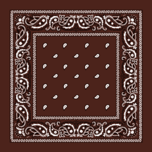 Classic Paisley Bandana Imported, 14X14, 12 Pieces, Dark Brown