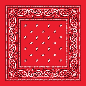 Classic Paisley Bandana Imported, 14X14, 12 Pieces, Hot Orange