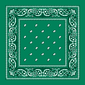 Classic Paisley Bandana Imported, 14X14, 12 Pieces, Teal