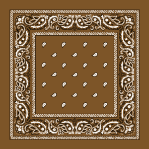 Classic Paisley Bandana Imported, 14X14, 12 Pieces, Brown