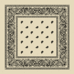 Value Classic Paisley Bandana Imported 100% Cotton