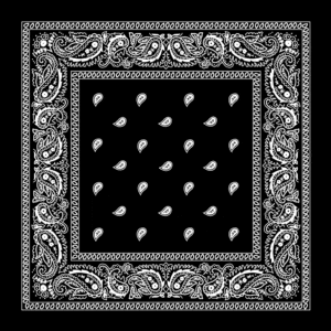 Classic Paisley Bandana Imported, 18X18, 1 Piece, Black