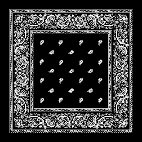 Classic Paisley Bandana Imported, 18X18, 1 Piece, Black