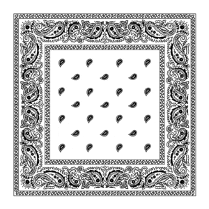 Classic Paisley Bandana Imported, 18X18, 12 Pieces, White