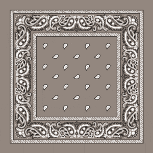 Value Classic Paisley Bandana Imported 100% Cotton