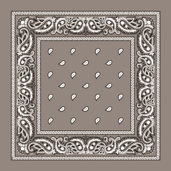 Value Classic Paisley Bandana Imported 100% Cotton