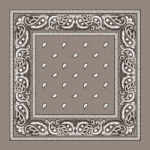Value Classic Paisley Bandana Imported 100% Cotton