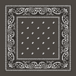 Value Classic Paisley Bandana Imported 100% Cotton