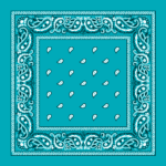 Value Classic Paisley Bandana Imported 100% Cotton