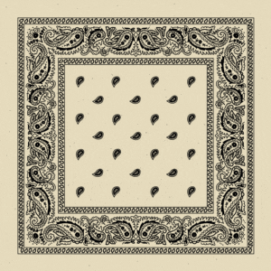Value Classic Paisley Bandana Imported 100% Cotton