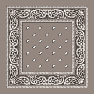 Value Classic Paisley Bandana Imported 100% Cotton 1 piece Grey 22 x 22