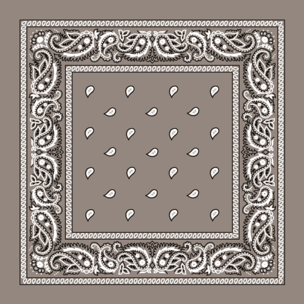 Value Classic Paisley Bandana Imported 100% Cotton 1 piece Grey 22 x 22