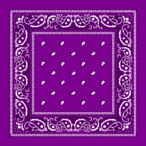 Classic Paisley Bandana Imported, 22X22, 12 Pieces, Grape / Purple