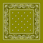 Value Classic Paisley Bandana Imported 100% Cotton