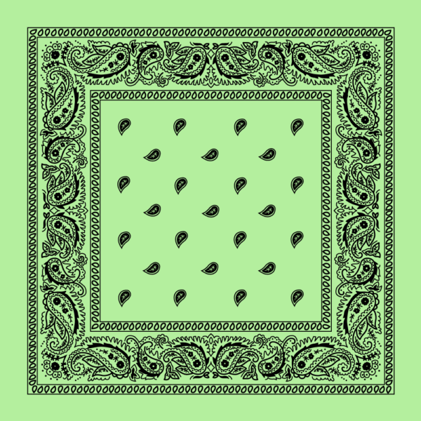 Value Classic Paisley Bandana Imported 100% Cotton