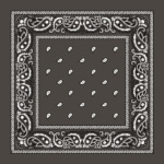 Value Classic Paisley Bandana Imported 100% Cotton