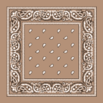 Value Classic Paisley Bandana Imported 100% Cotton