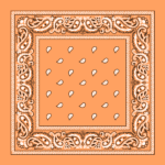 Value Classic Paisley Bandana Imported 100% Cotton
