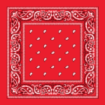 Value Classic Paisley Bandana Imported 100% Cotton