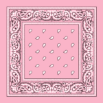 Value Classic Paisley Bandana Imported 100% Cotton